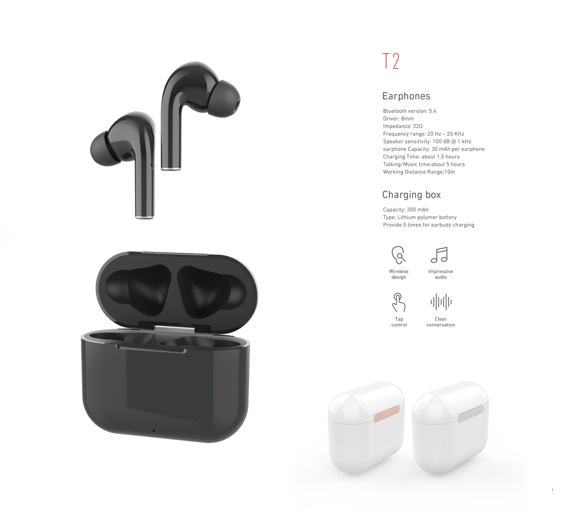 T2.jpg